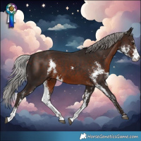 Horse Color:Silver Brown Sabino 