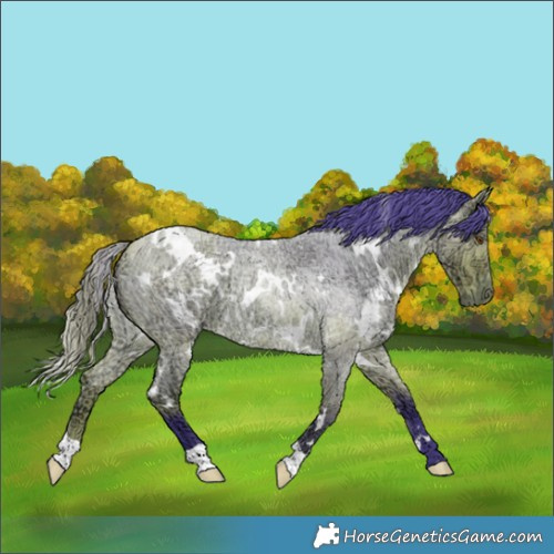 Horse Color:Watercolor White Spotted Buckskin Ice Roan Dun