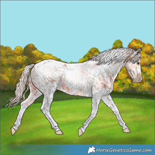 Horse Color:White Spotted Silver Buckskin Ice Tobiano