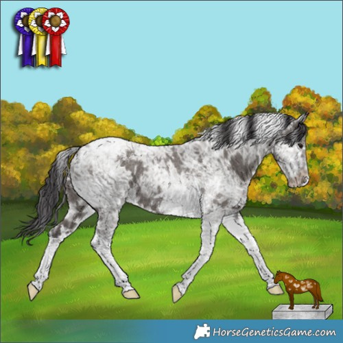 Horse Color:White Spotted Smoky Grullo Ice Tobiano