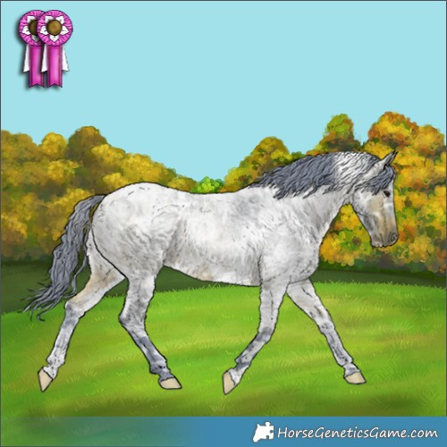 Horse Color:Watercolor White Spotted Bay Ice Roan 
