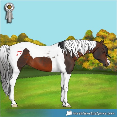 Horse Color:Brown Tobiano 