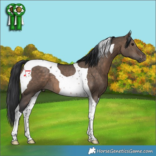 Horse Color:Brown Dun Tobiano