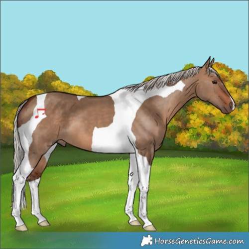 Horse Color:Silver Brown Dun Tobiano