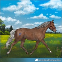 Horse Color:Silver Black 