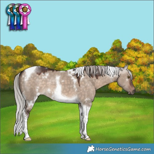 Horse Color:White Spotted Silver Brown Dun Mushroom Tobiano 