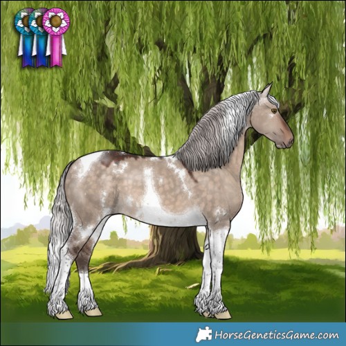 Horse Color:White Spotted Silver Brown Dun Mushroom Tobiano