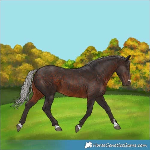 Horse Color:Silver Brown 