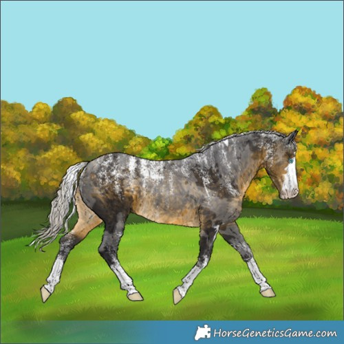 Horse Color:Powder White Silver Buckskin Merle 