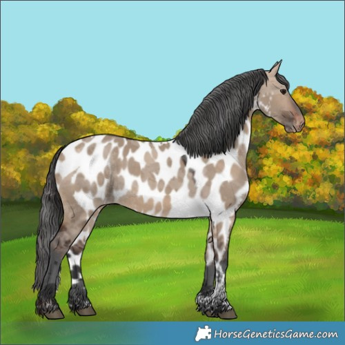 Horse Color:Brown Dun Merle Tobiano Skewed LP Spotted 