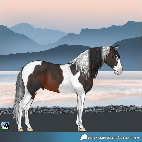 Horse Color:Brown Splash Tobiano 