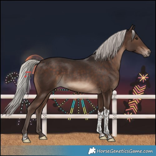 Horse Color:Silver Brown Tobiano