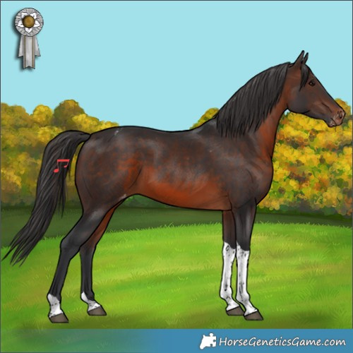 Horse Color:Brown Tobiano Varnish