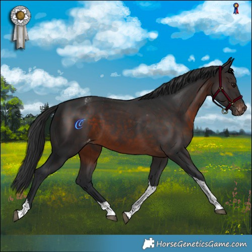 Horse Color:Brown Tobiano Varnish 