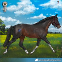 Horse Color:Brown Tobiano Varnish 
