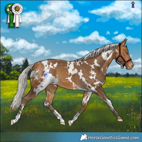 Horse Color:White Spotted Silver Buckskin Varnish 