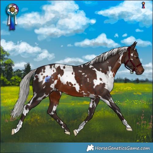 Horse Color:White Spotted Silver Brown 
