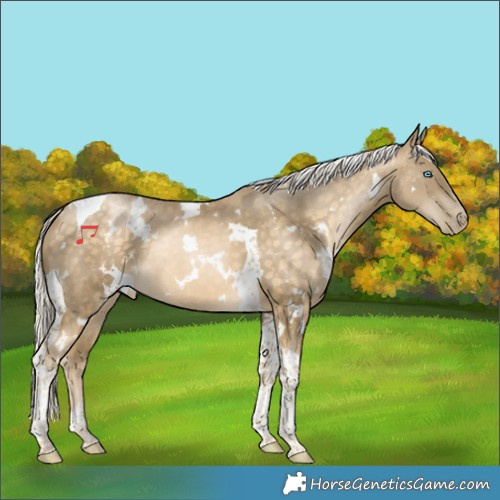 Horse Color:White Spotted Silver Buckskin Snowdrop Tobiano
