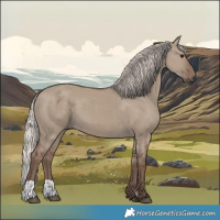 Horse Color:Silver Grullo