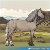 Horse Color:Silver Grullo