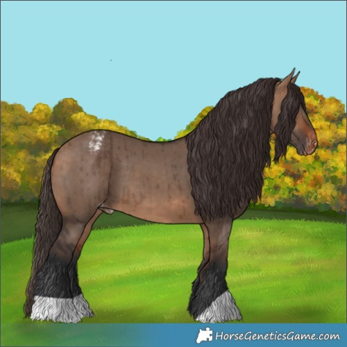 Horse Color:Bay Dun Varnish Brindle