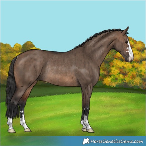 Horse Color:Brown Dun Rabicano Brindle 