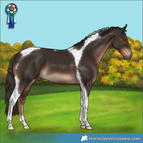 Horse Color:Liver Chestnut Tobiano 
