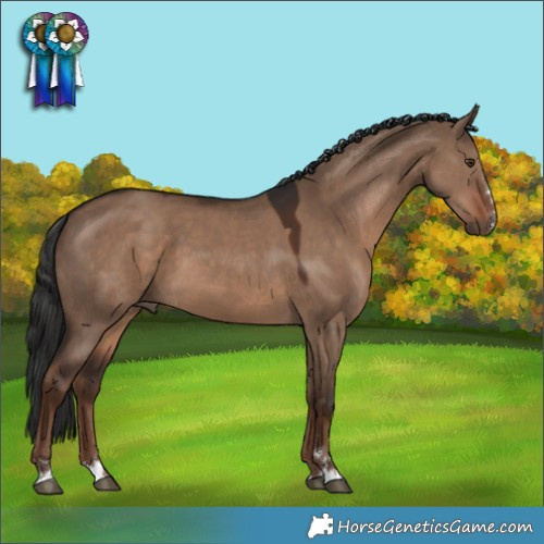 Horse Color:Liver Red Dun