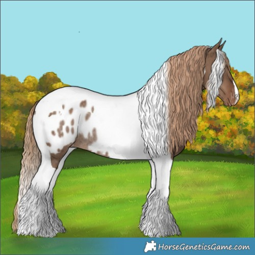 Horse Color:Liver Red Dun Tobiano Blanket Rabicano Brindle