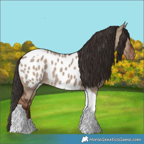 Horse Color:Liver Red Dun Tobiano Blanket Rabicano 