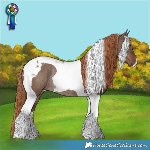 Horse Color:Liver Red Dun Tobiano Rabicano 