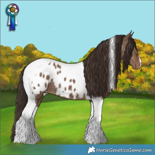 Horse Color:Liver Red Dun Tobiano Appaloosa