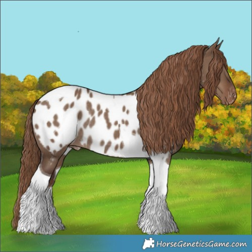 Horse Color:Liver Red Dun Tobiano Appaloosa Rabicano 