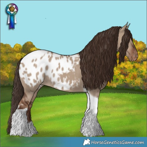 Horse Color:Liver Red Dun Tobiano Appaloosa