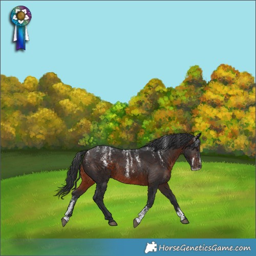 Horse Color:Powder White Brown Rabicano 