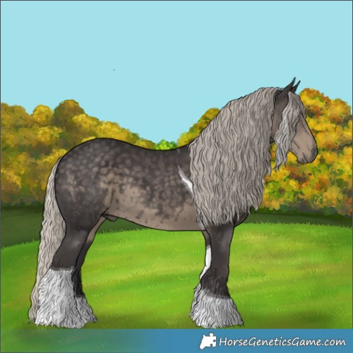 Horse Color:Silver Smoky Black Tobiano