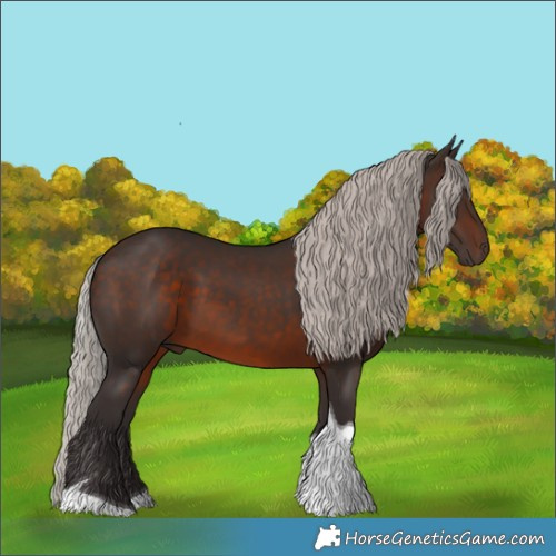 Horse Color:Silver Brown Tobiano
