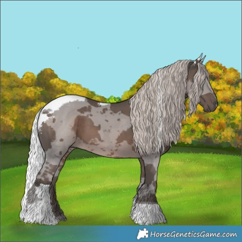 Horse Color:Silver Black Merle Tobiano