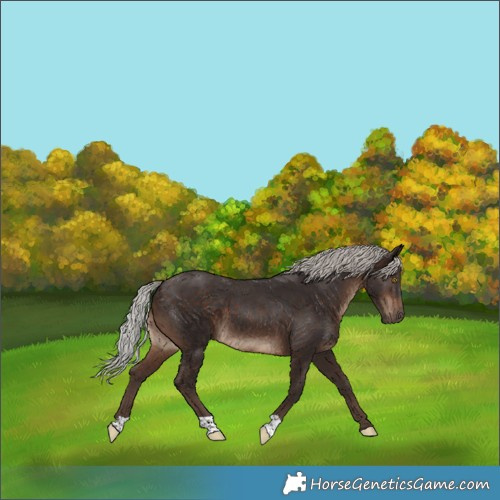 Horse Color:Silver Brown