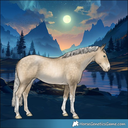 Horse Color:Silver Buckskin Snowdrop Sabino Tobiano 