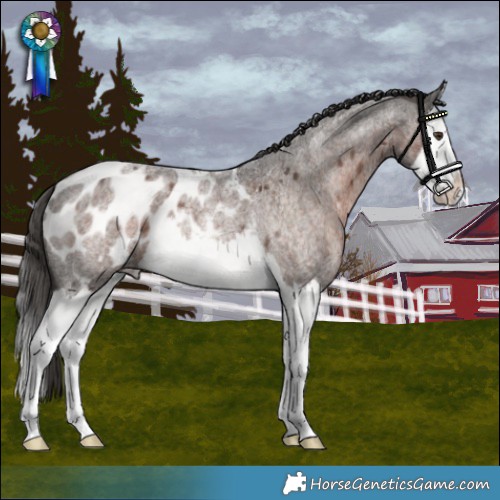 Horse Color:Liver Red Roan Splash Blanket Rabicano 