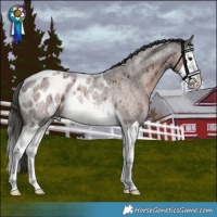 Horse Color:Liver Red Roan Splash Blanket Rabicano
