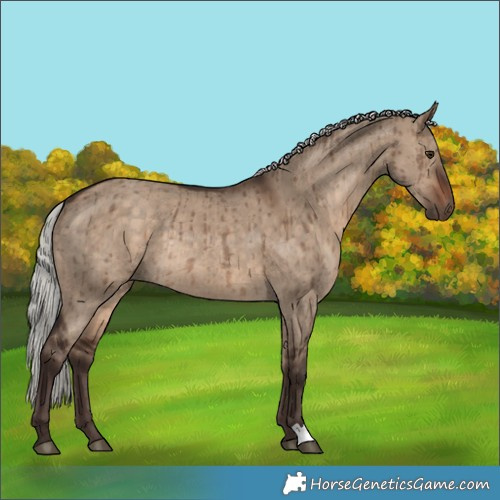 Horse Color:Silver Brown Dun Rabicano Brindle