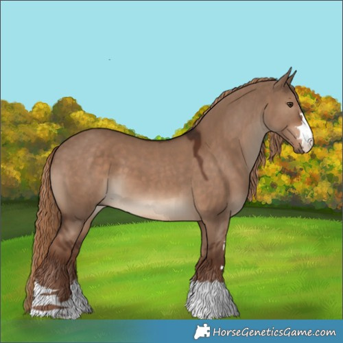 Horse Color:Liver Red Dun