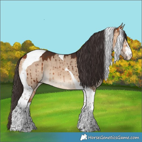Horse Color:Bay Dun Tobiano Brindle