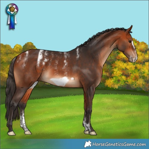Horse Color:Powder White Bay Frame
