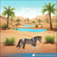 Horse Color:Powder White Bay Dun Tobiano Brindle