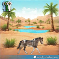 Horse Color:Powder White Bay Dun Tobiano Brindle