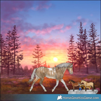 Horse Color:Powder White Silver Buckskin Dun Tobiano Brindle
