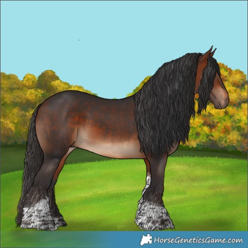 Horse Color:Bay Tobiano Rabicano